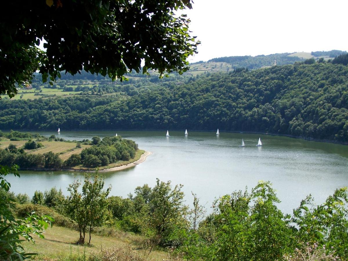 O Fil De L'Eau - Gite En Bord De Lac Saint-Jean-Saint-Maurice-sur-Loire Extérieur photo