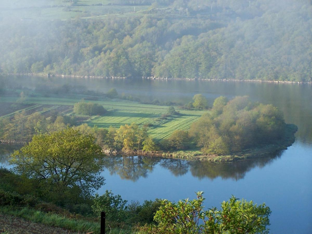 O Fil De L'Eau - Gite En Bord De Lac Saint-Jean-Saint-Maurice-sur-Loire Extérieur photo